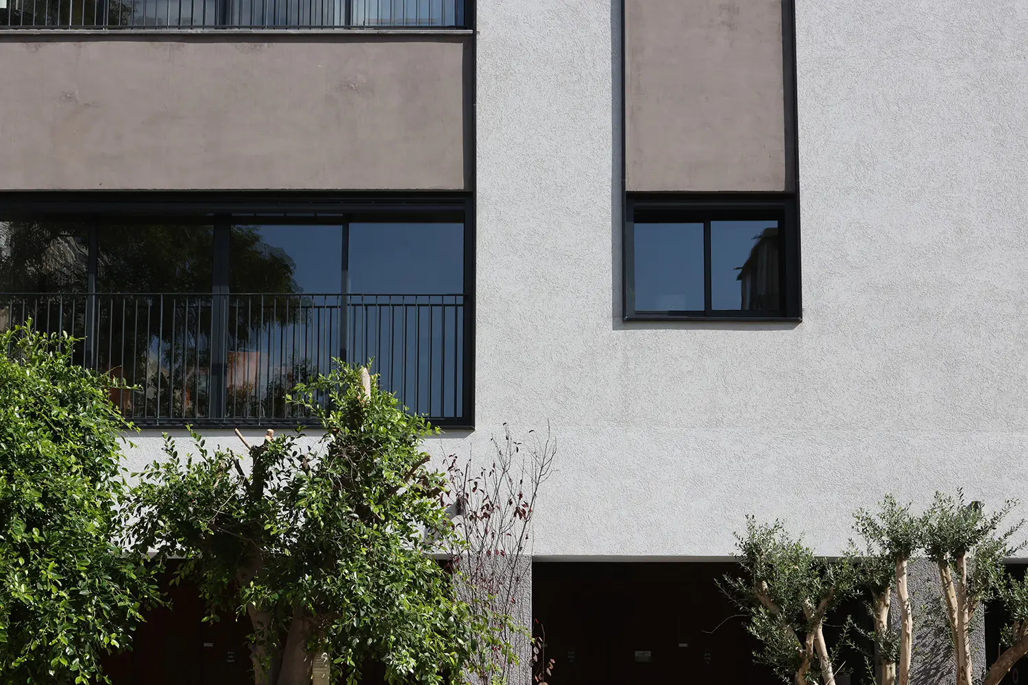 הורקנוס 29 תמונה