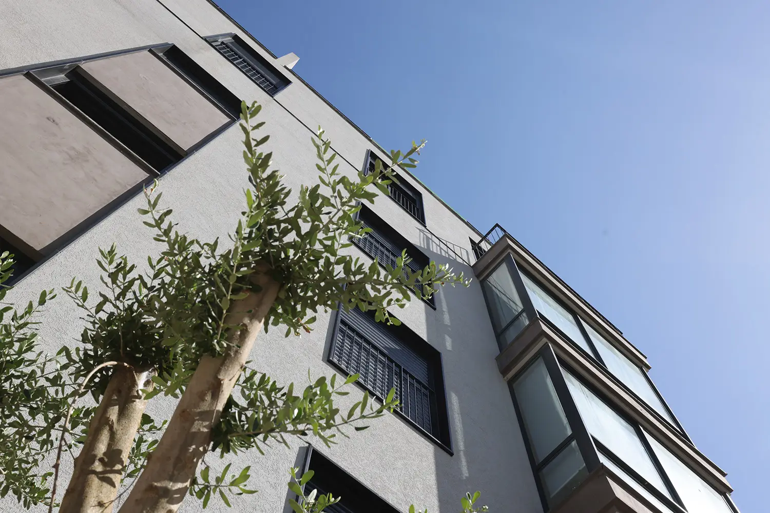 הורקנוס 29 תמונה