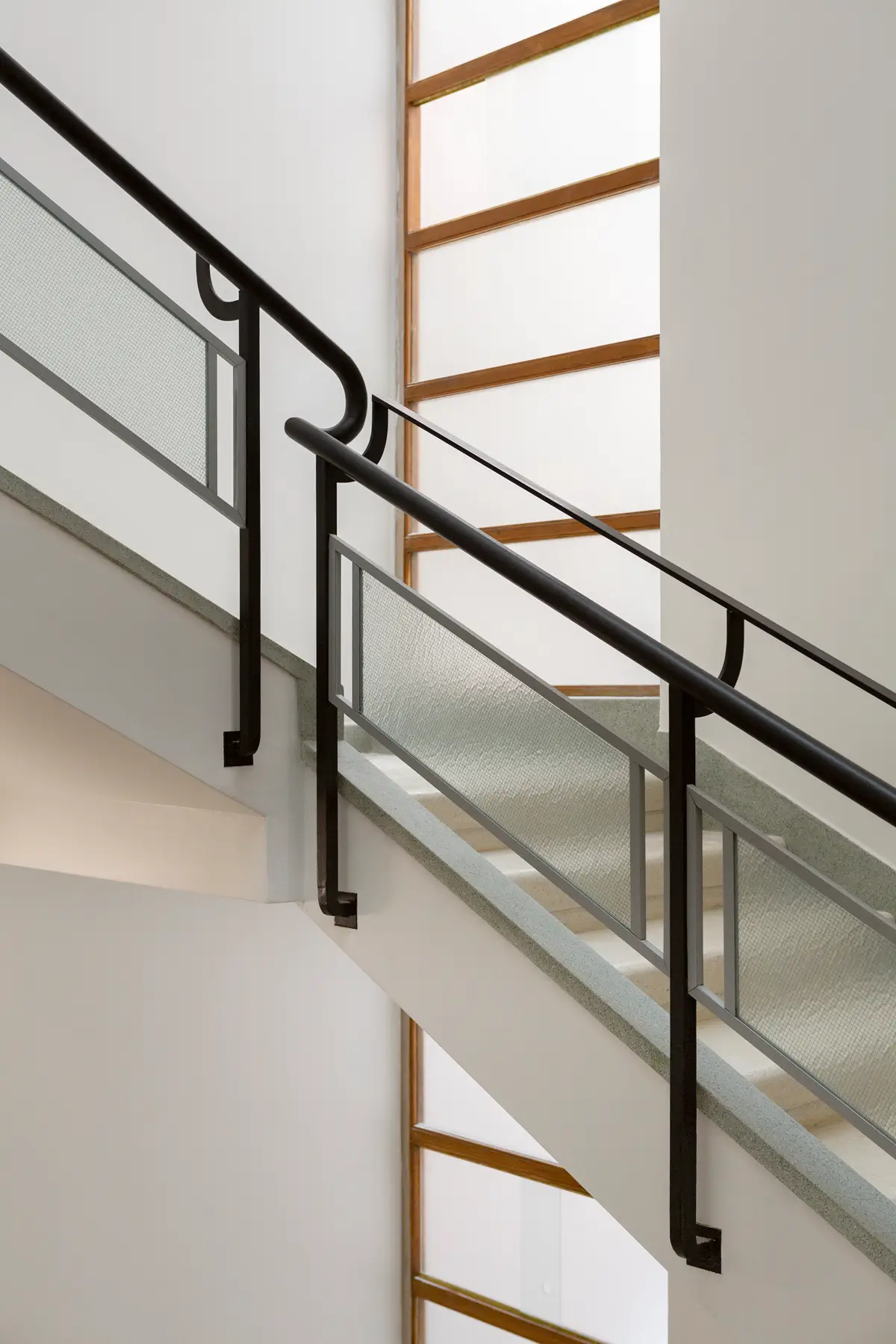 דיזינגוף 10 תמונת פנים