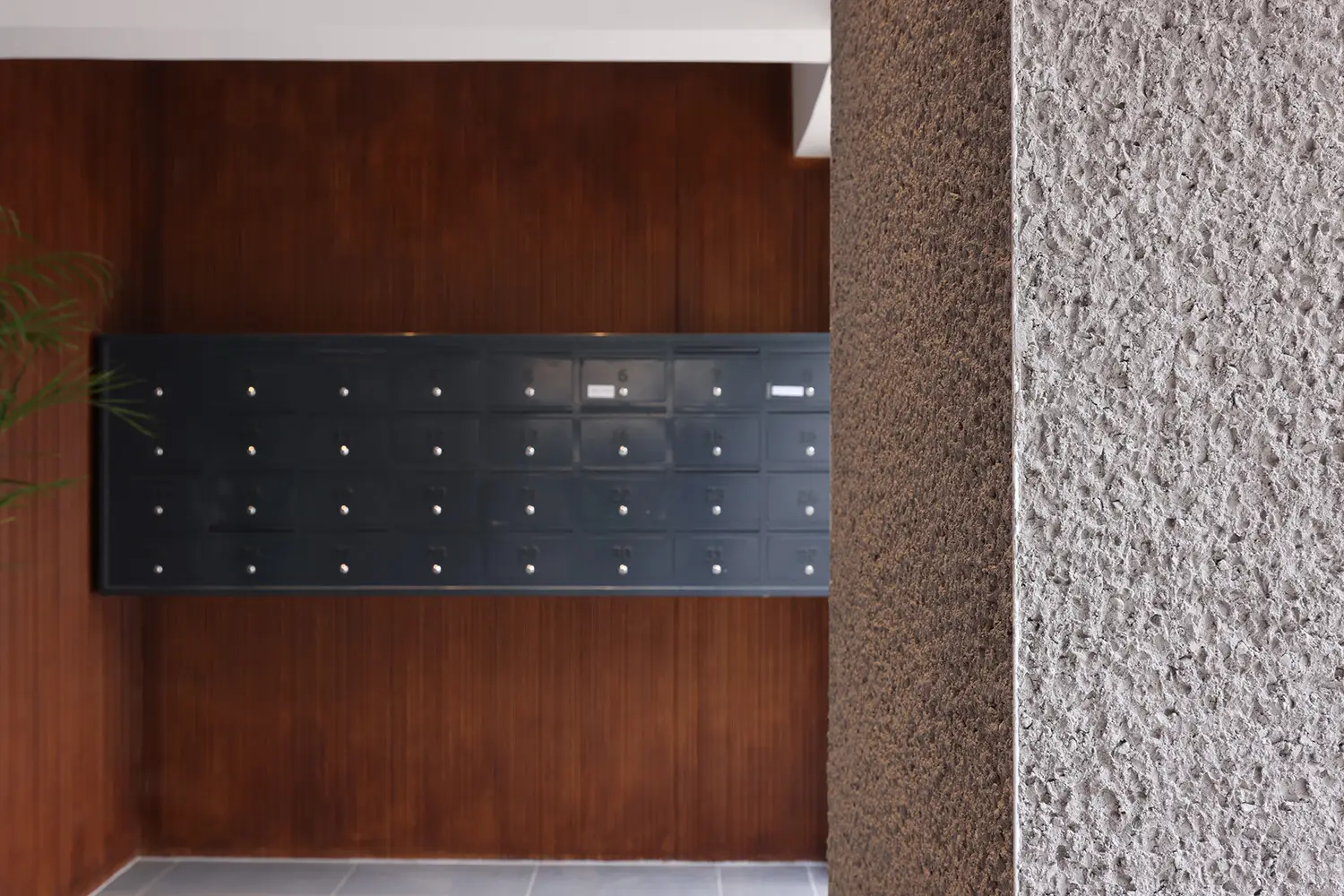 הורקנוס 29 תמונה